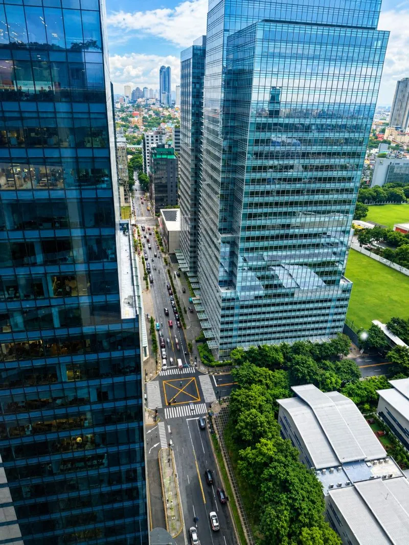 View from a high office window: glass towers, a tree-lined street and traffic far below